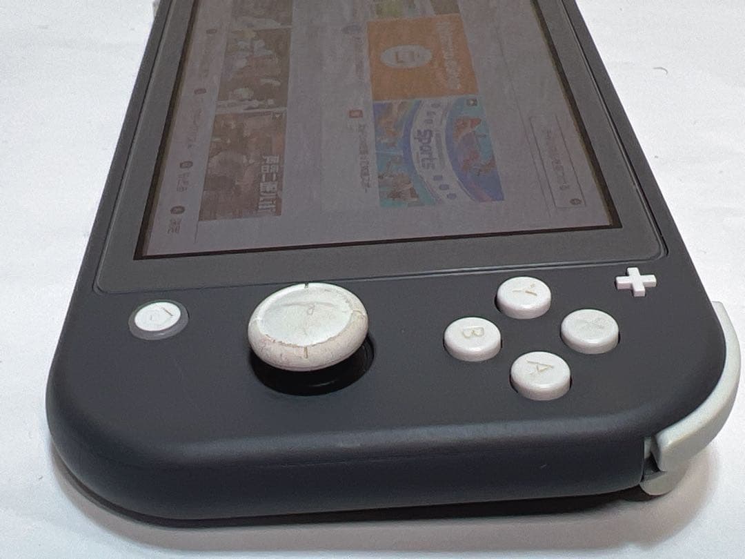 Nintendo Switch Lite HDH-001 携帯型ゲーム機