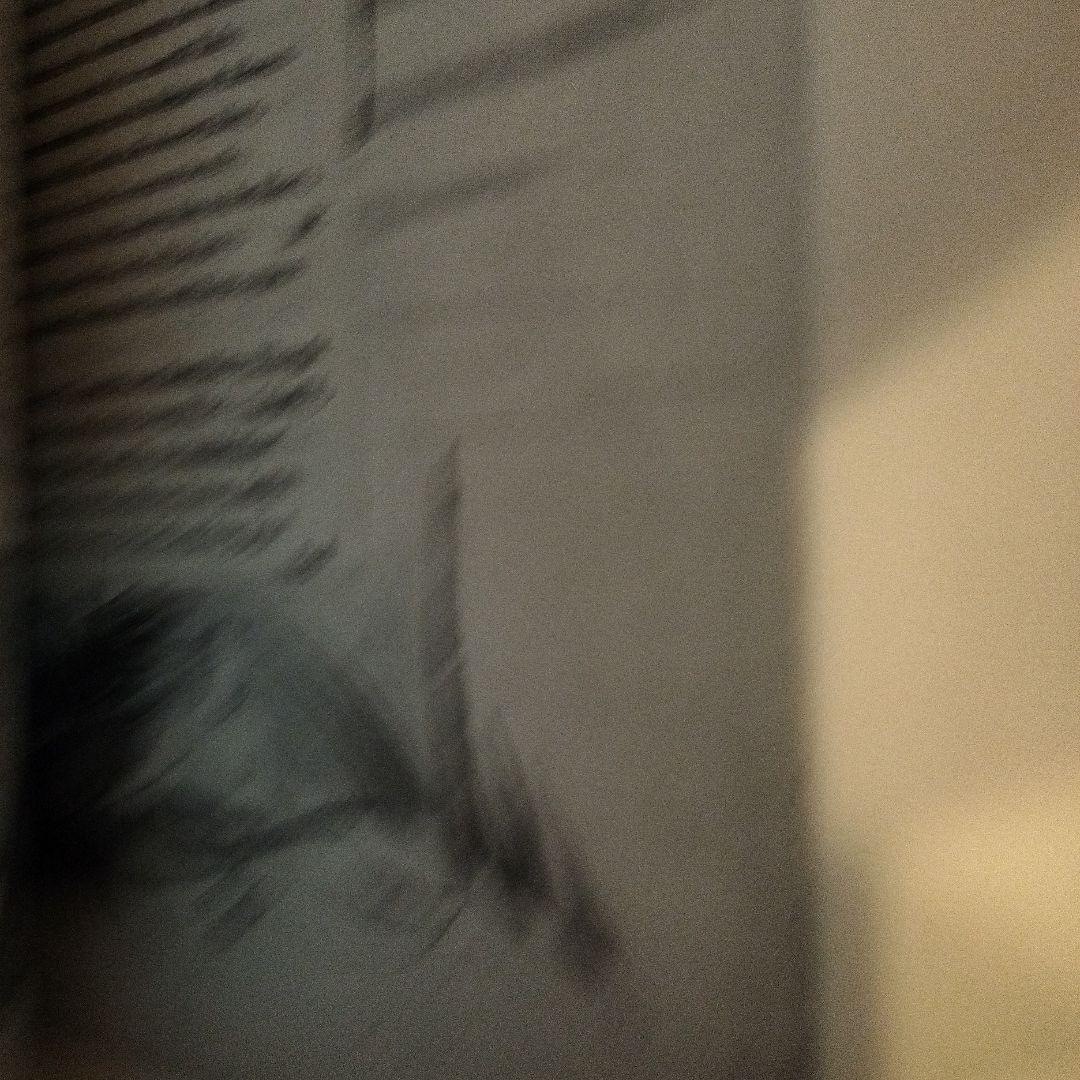 アート・デザイン・音楽 William Blake's Designs for Edward Young