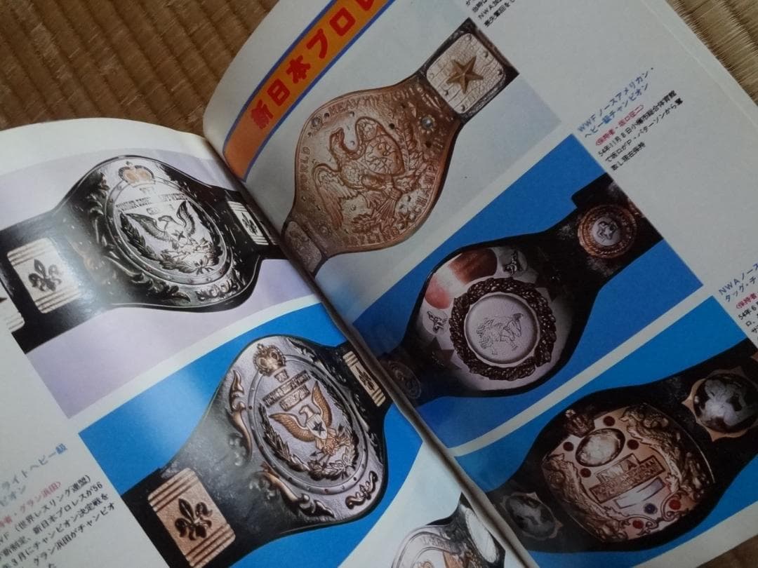 別冊プロレス増刊★秘蔵写真とセレクトされた記録でつづる 日本のプロレス30年史