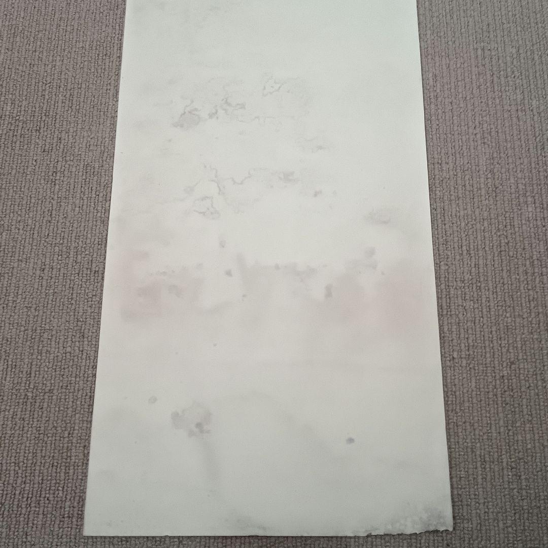 佐藤勝彦 無盡蔵壽 菩薩 仏様 仏画 墨彩画 印有 額サイズ36×99cm 真作