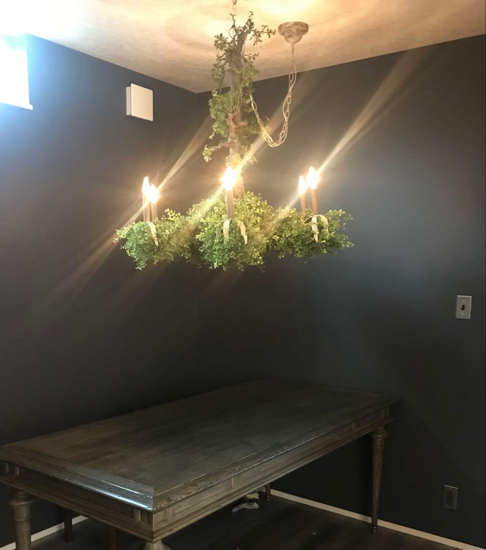 森のシャンデリア