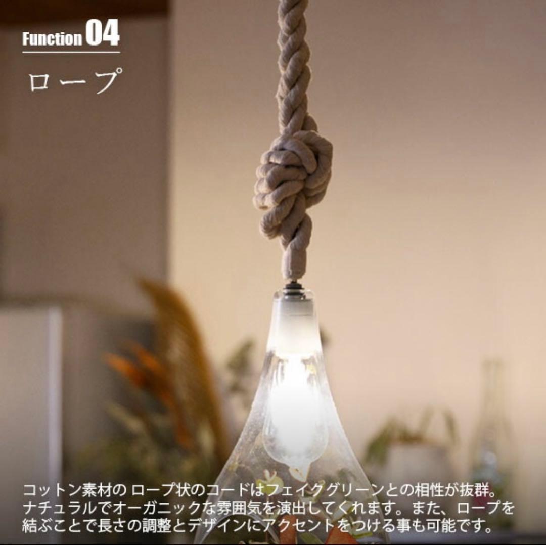 【未使用品】BOTANIC HANGING LIGHT Lサイズ　スワン電器