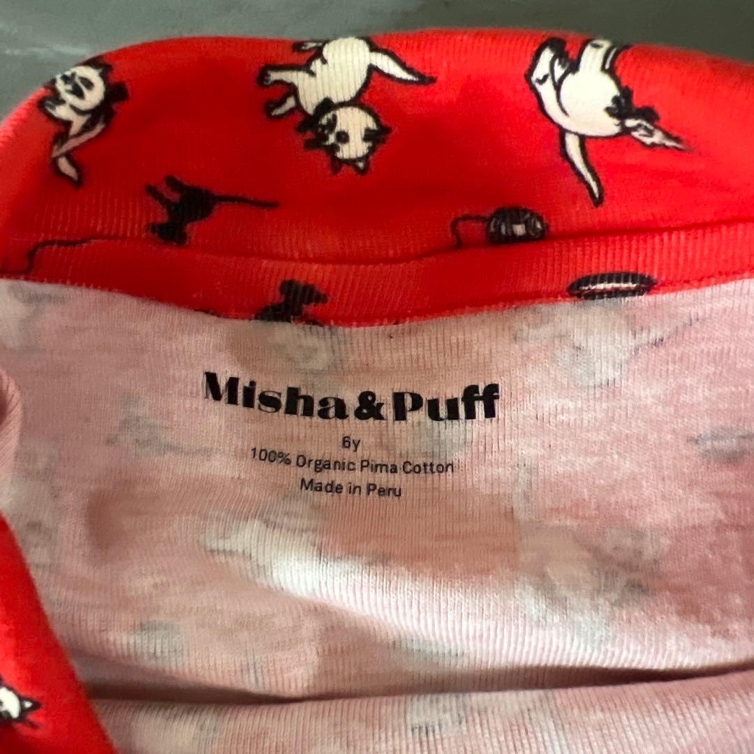 Misha & Puff 赤猫　6y