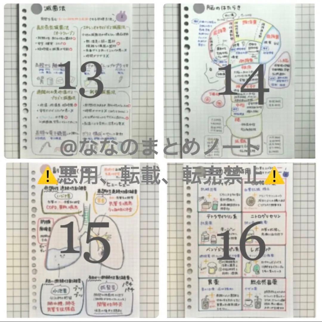 【A4サイズ】解剖生理+重要項目+頻出疾患まとめノート 3セット