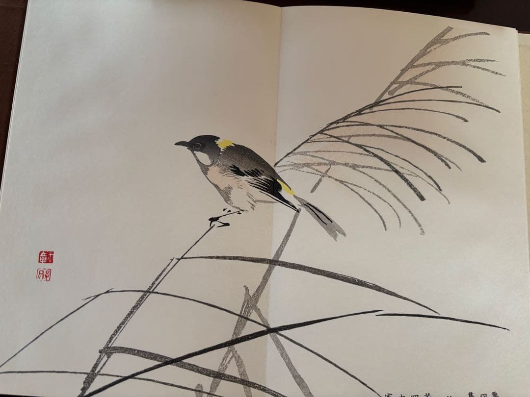 習画百題 全5冊 木版彩色摺　川端玉章　新品未使用