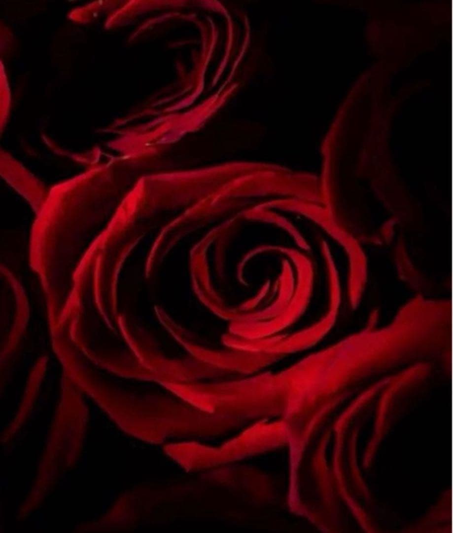 COACH長財布レインボーマルチカラーシグネチャーストラップ付.男女兼用.新品