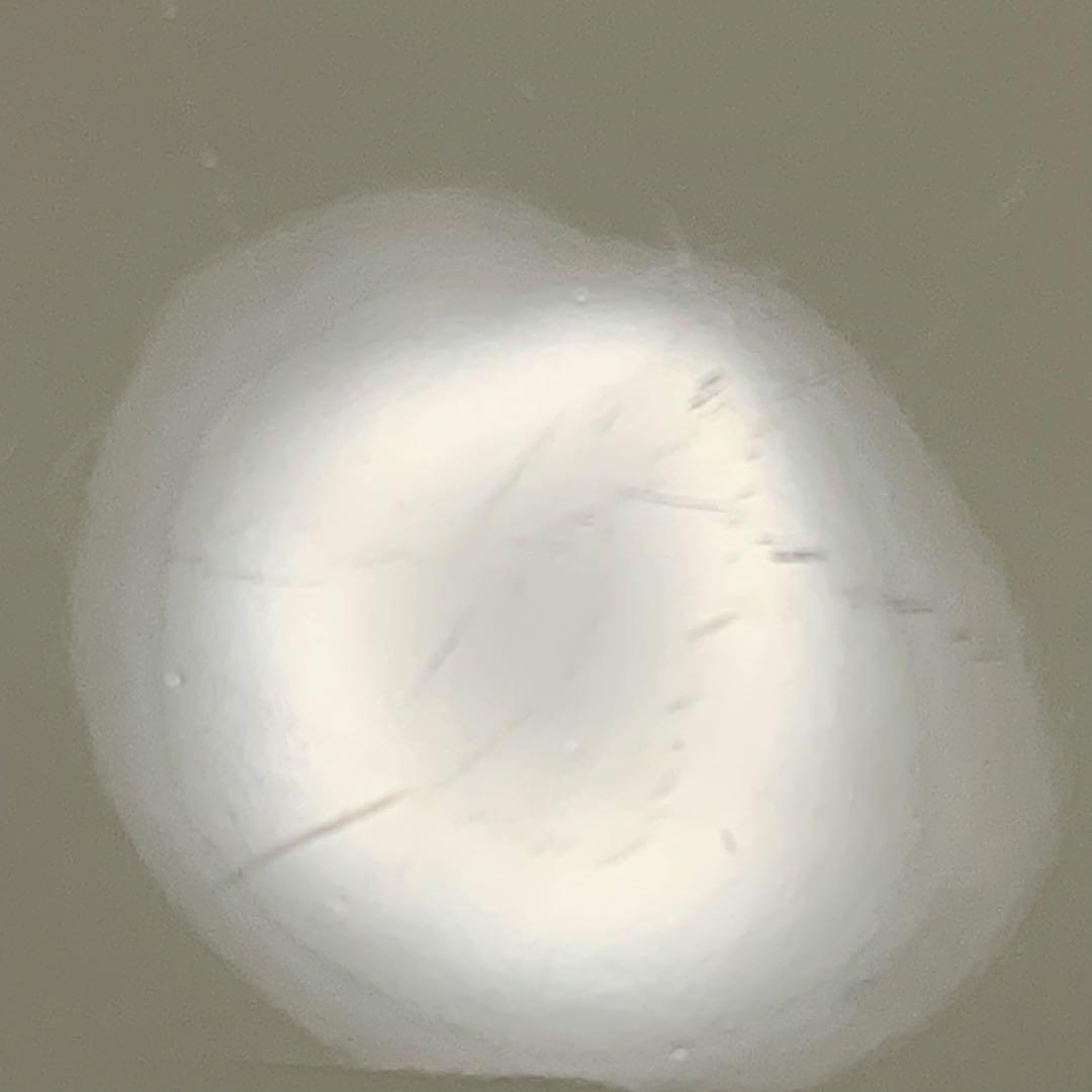 ノリタケ Nitto アイボリー RC 日本製 食器セット 41点