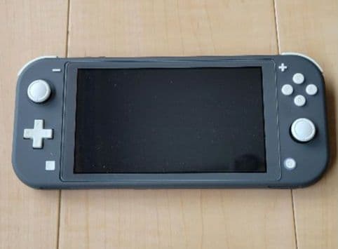 Nintendo Switch Lite グレー本体ケース充電器保護フィルムつき