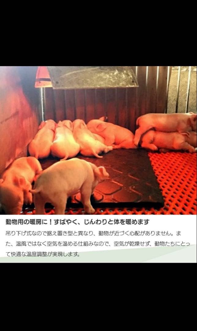 新品未使用品 Panasonic NK-RH12E 家庭用コルツヒーター