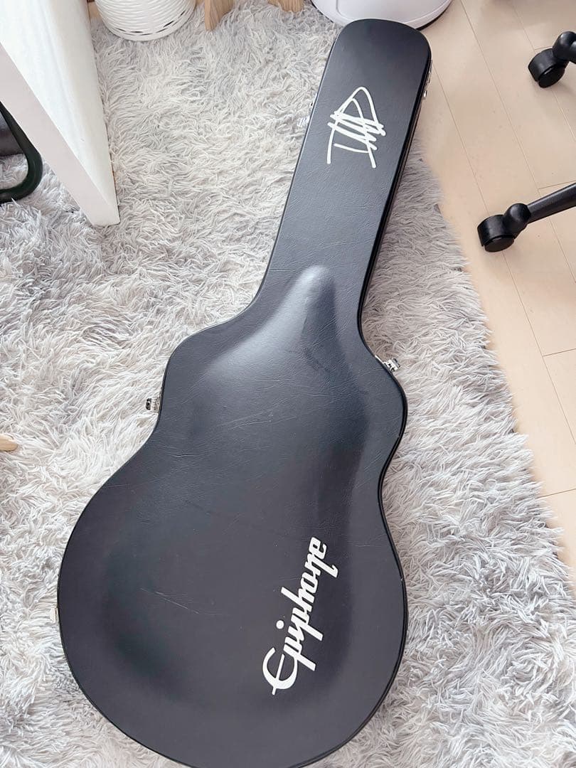 ギター Epiphone Dave Grohl DG-335
