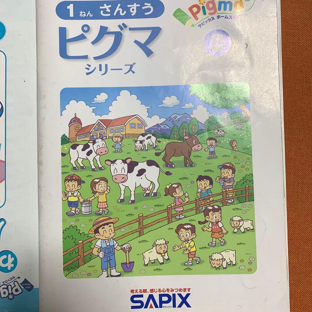 1年分 SAPIXピグマ小1 サピックスピグマ 1年生　SAPIX 入室テスト