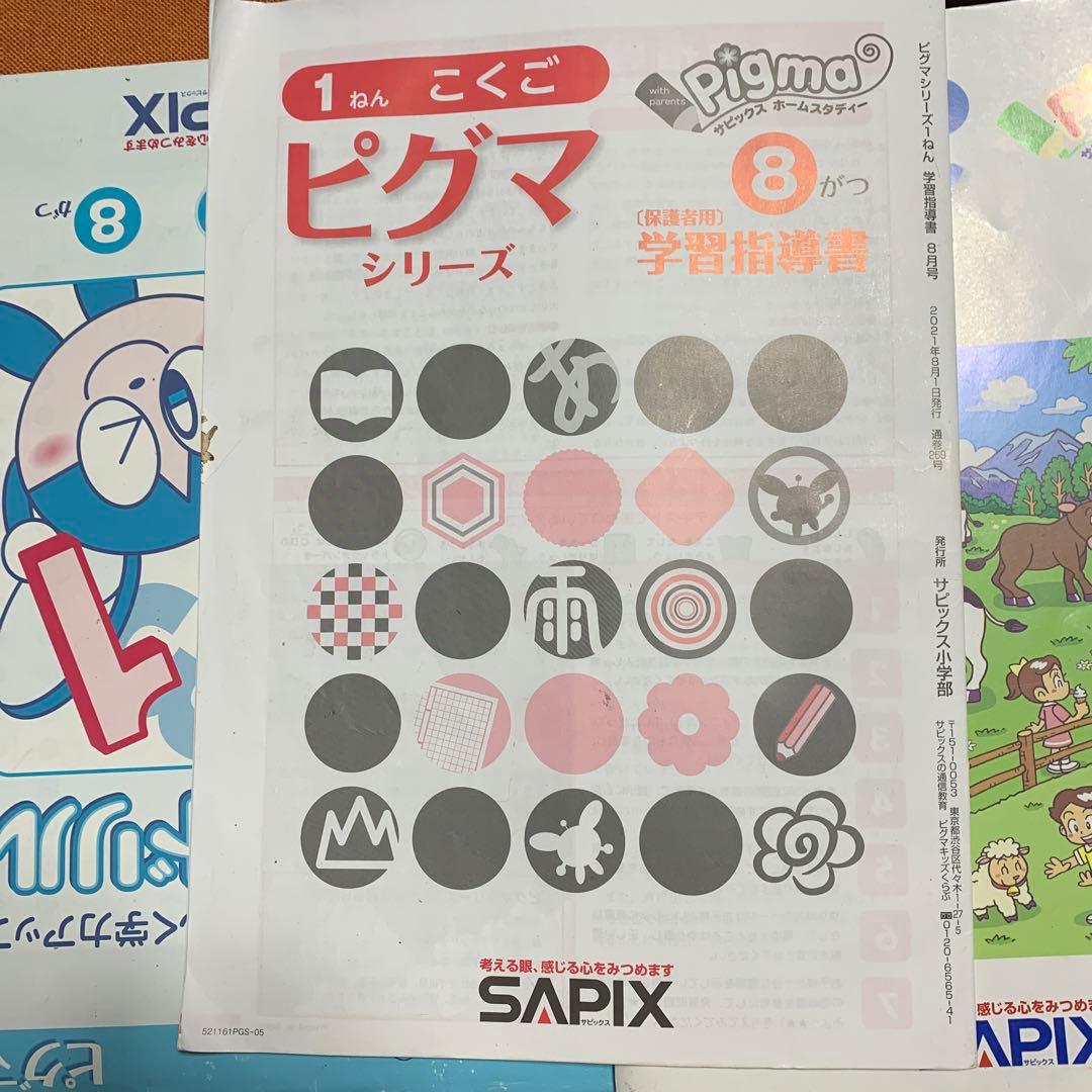 1年分 SAPIXピグマ小1 サピックスピグマ 1年生　SAPIX 入室テスト