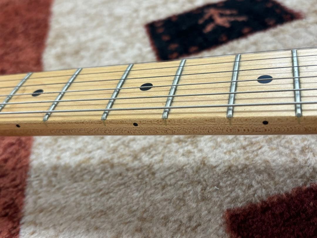 Bacchus Universe Series テレキャスブラック