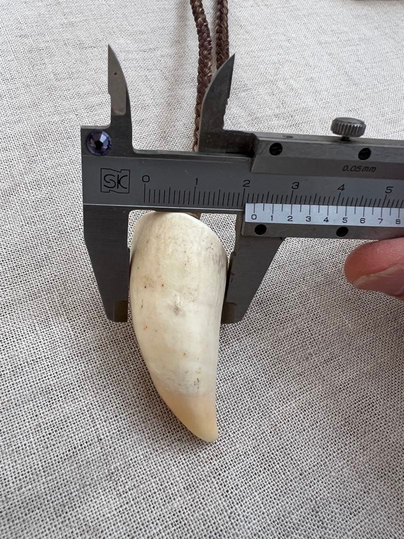 EIGHT BALL 8 ボーンカービング　　歯　ネックレス