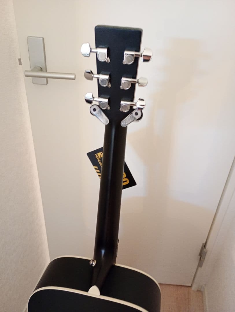 スタッフォード　SF3D stafford　マットブラック　ギター　エレアコ