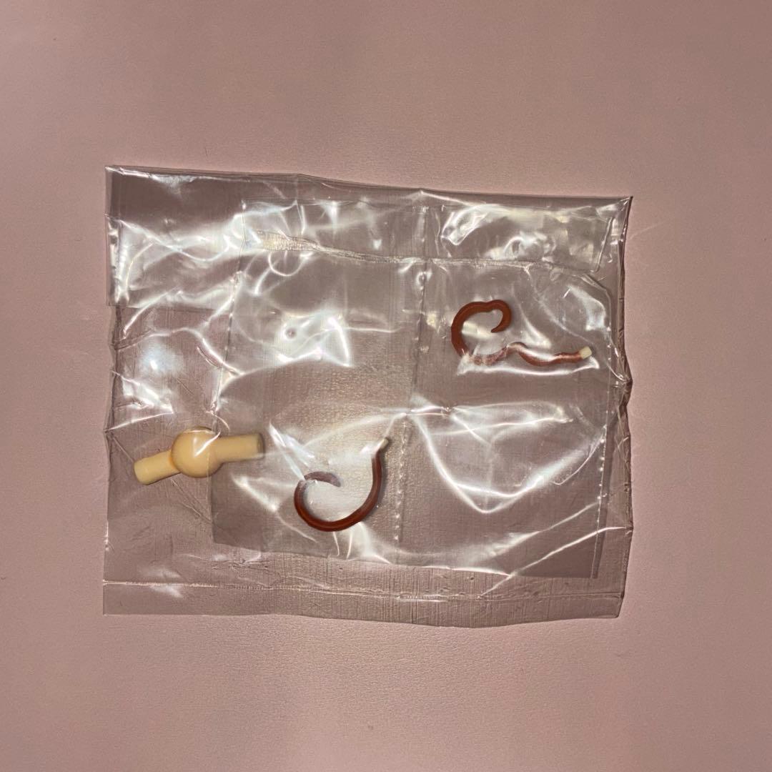 ヘタリア イタリア ねんどろいど