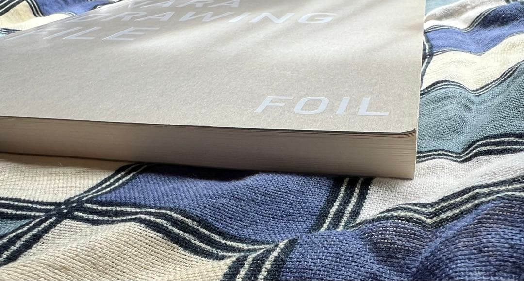 寿*様 奈良美智　コレクターアイテム　大型画集