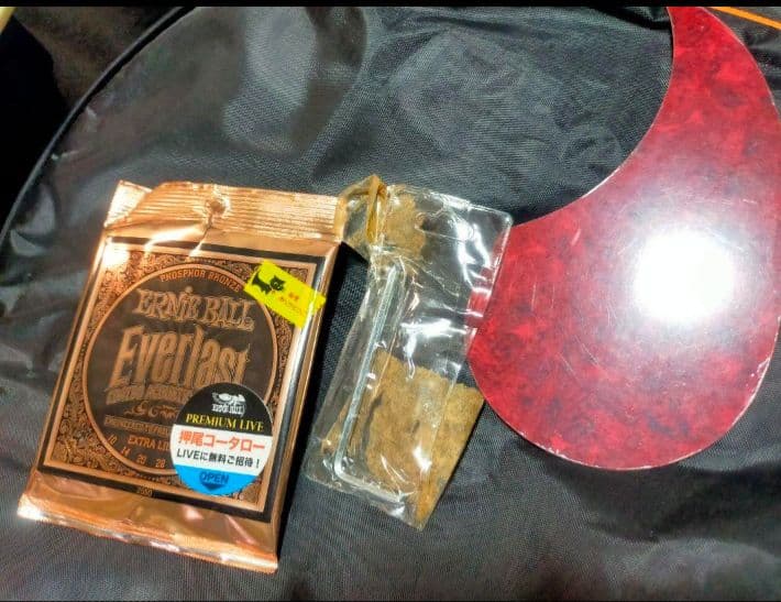 Ashton Acoustic Guitar アクアブルーアコギ 初心者に最適