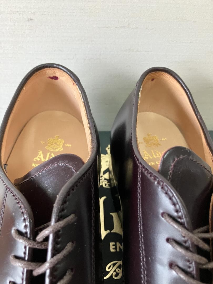 ALDEN オールデン 56201 パンチドゥキャップトゥ　7D