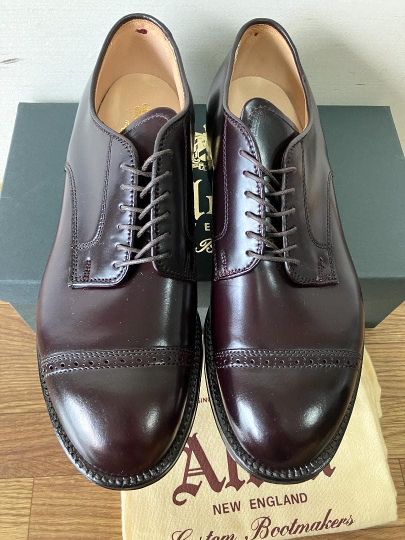 ALDEN オールデン 56201 パンチドゥキャップトゥ　7D