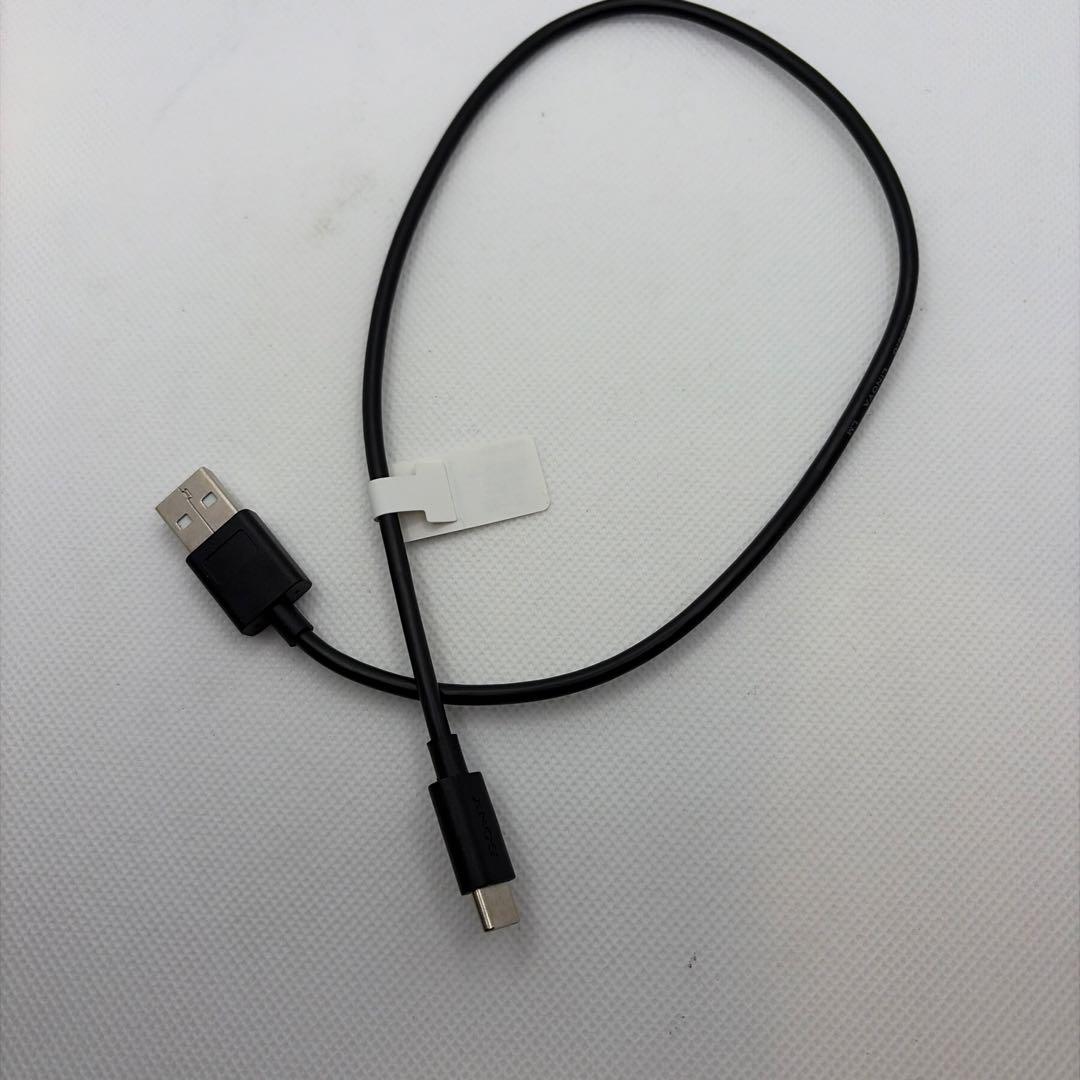 SONY NW-ZX707 純正ケース、ストラップ付き