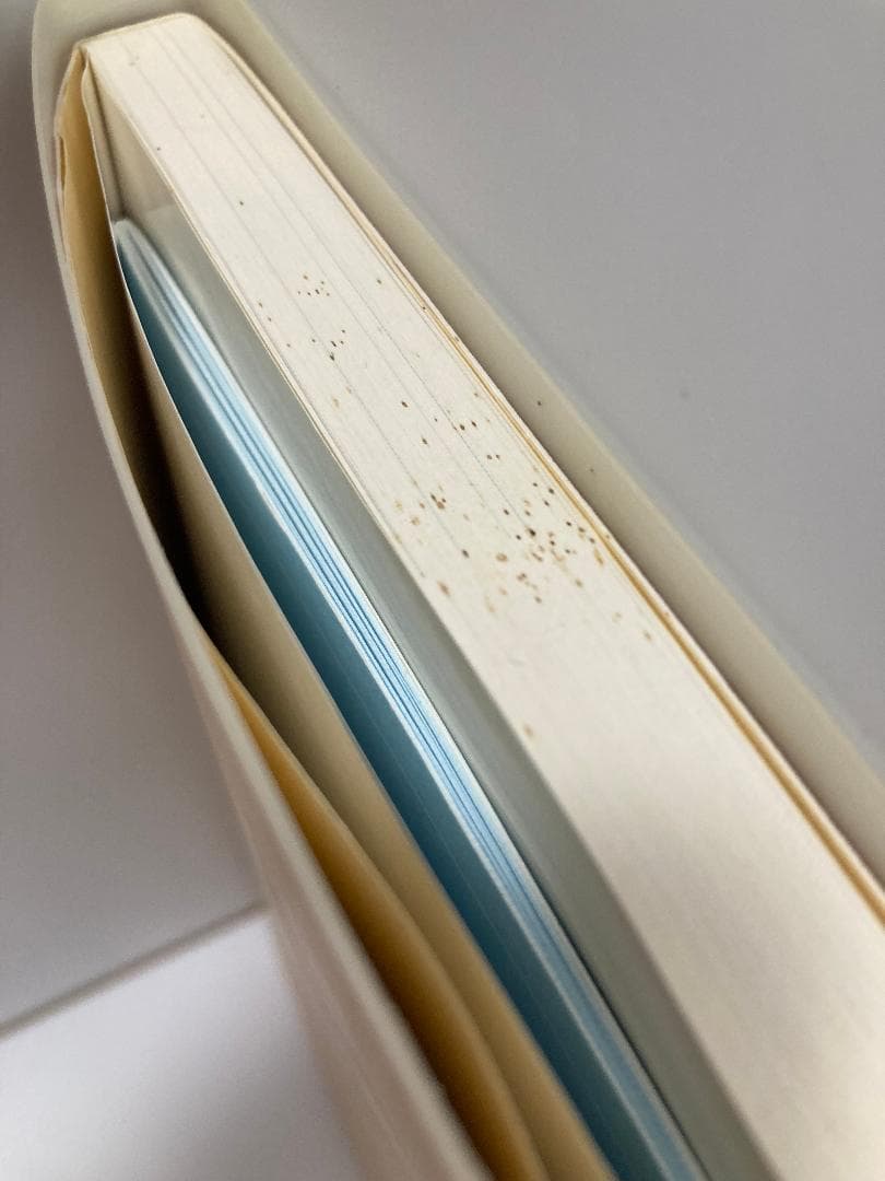 指しゃぶり基礎から指導の実際