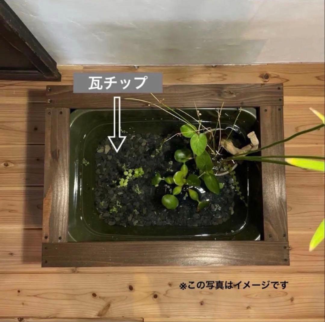 タライ 36L 木枠 低床セットメダカ 100％天然塗料 水槽 杉羽目板