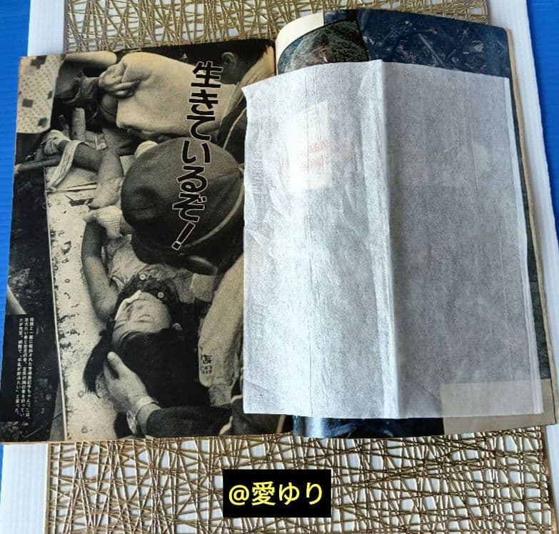 ♦日航ジャンボ機墜落事件❄️関連誌全５冊⭐御巣鷹山⭐事故調⭐ボイスレコーダー