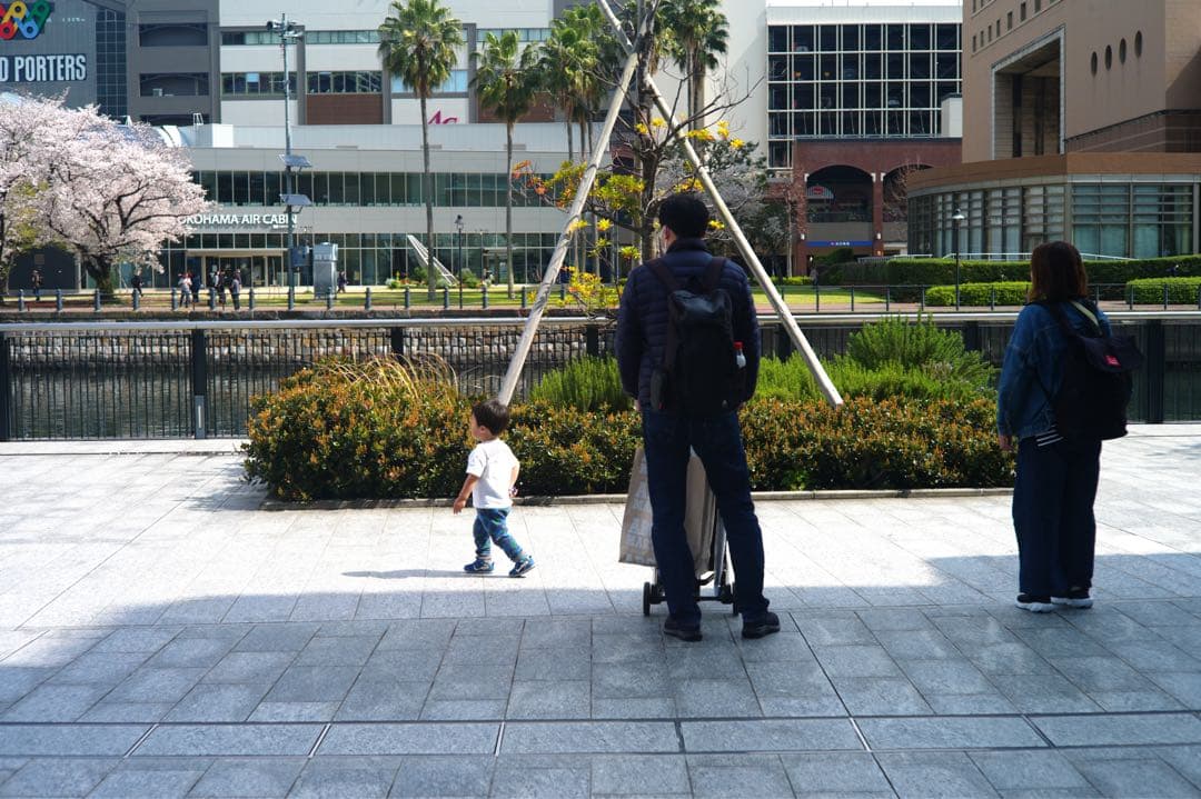 Leica Summicron 50mm f/2 単焦点レンズ　Lマウント