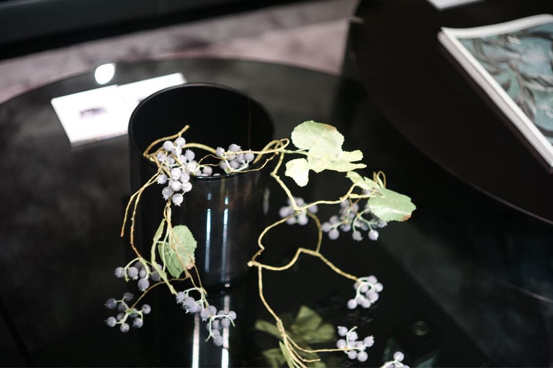 Leica Summicron 50mm f/2 単焦点レンズ　Lマウント