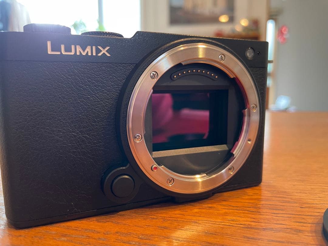 【美品】LUMIX S9 ボディ DC-S9-K ブラック 【即日発送可能】