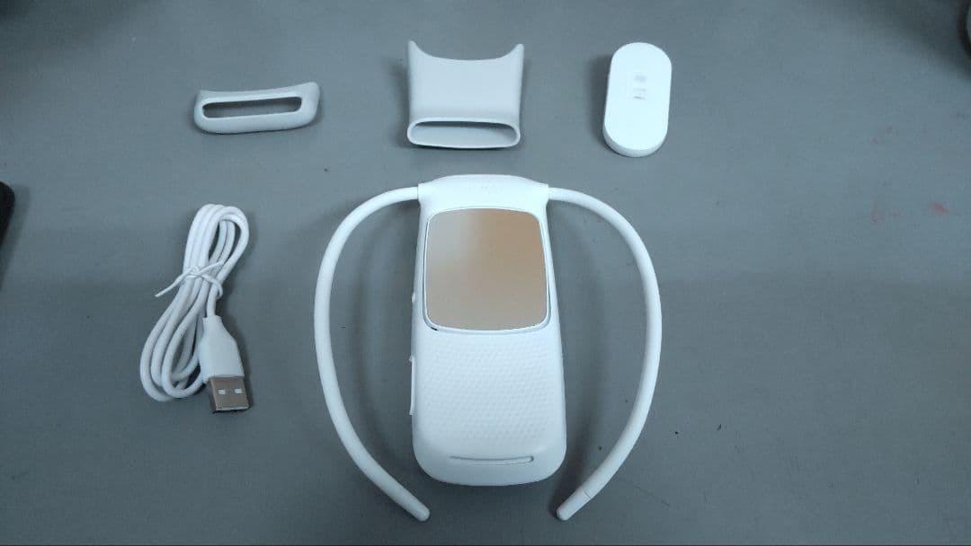 SONY REON POCKET5 ソニー レオン ポケット5