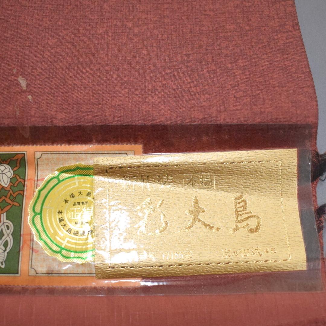 M20-20 新品 正絹 染大島 訪問着 仮絵羽解き 灰赤茶系 梅