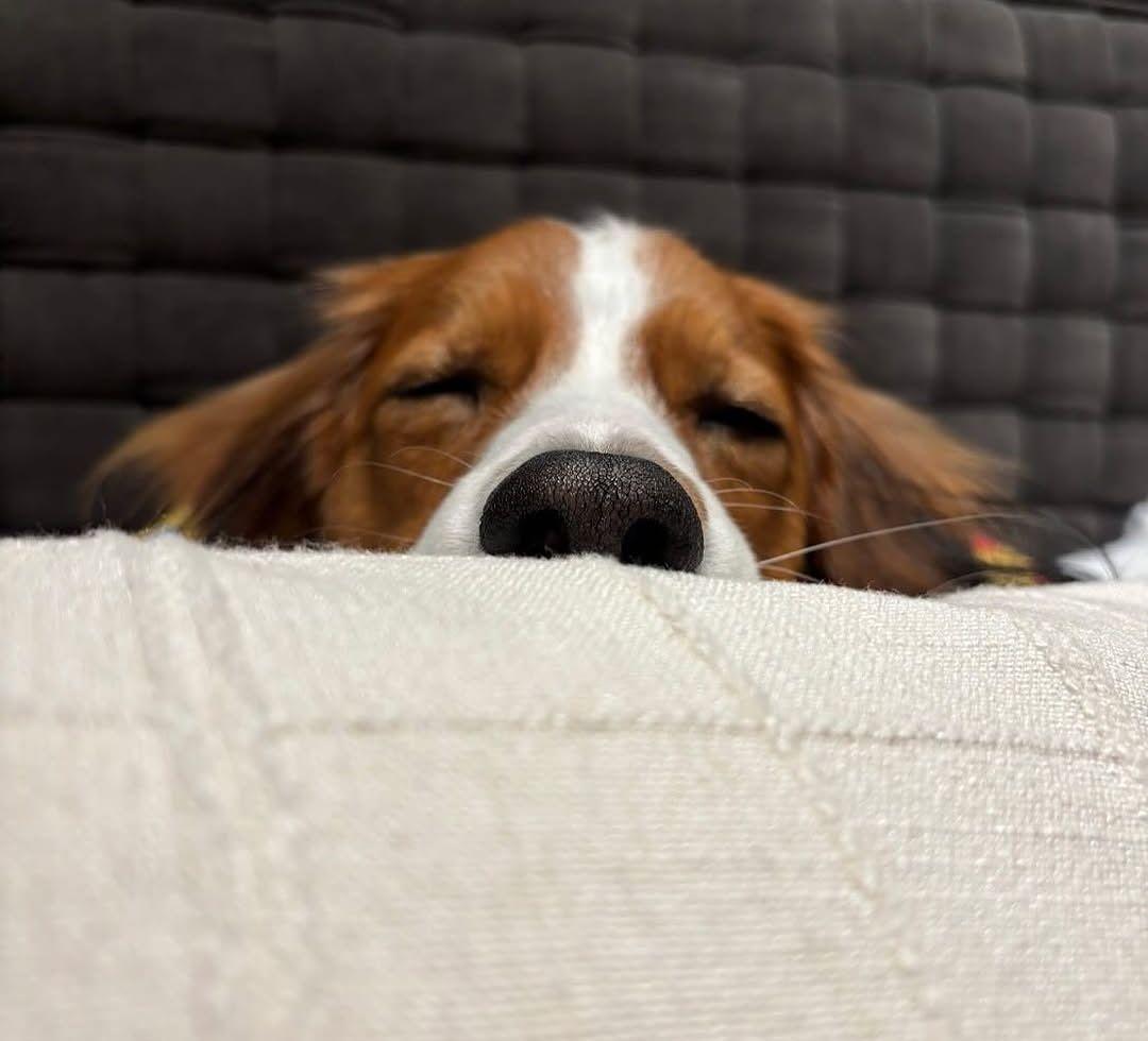 【最終値下げ】MLB開幕戦TOKYO ニューエラGR8コラボキャップ