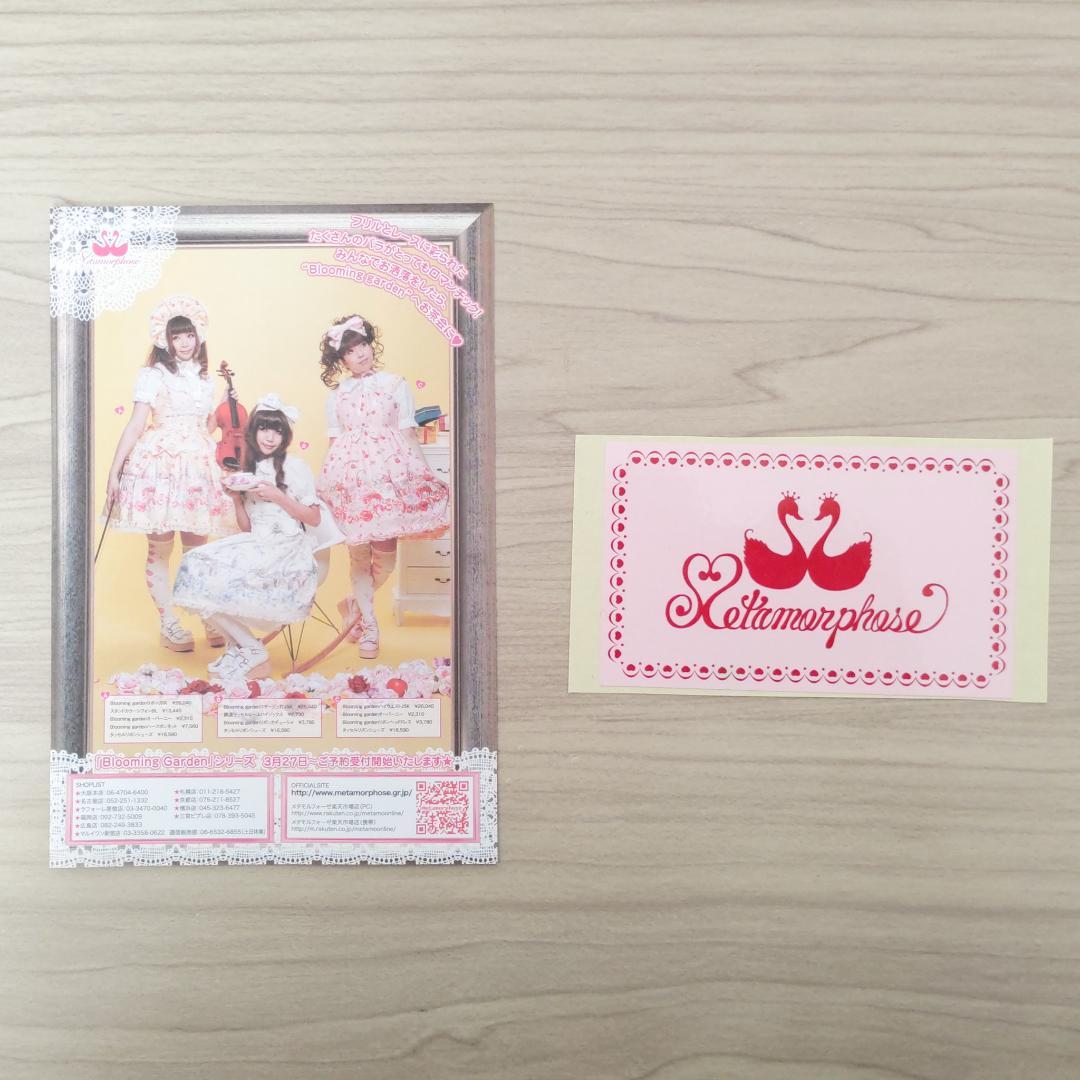 morphose temps de fille☆カタログ＆フライヤー