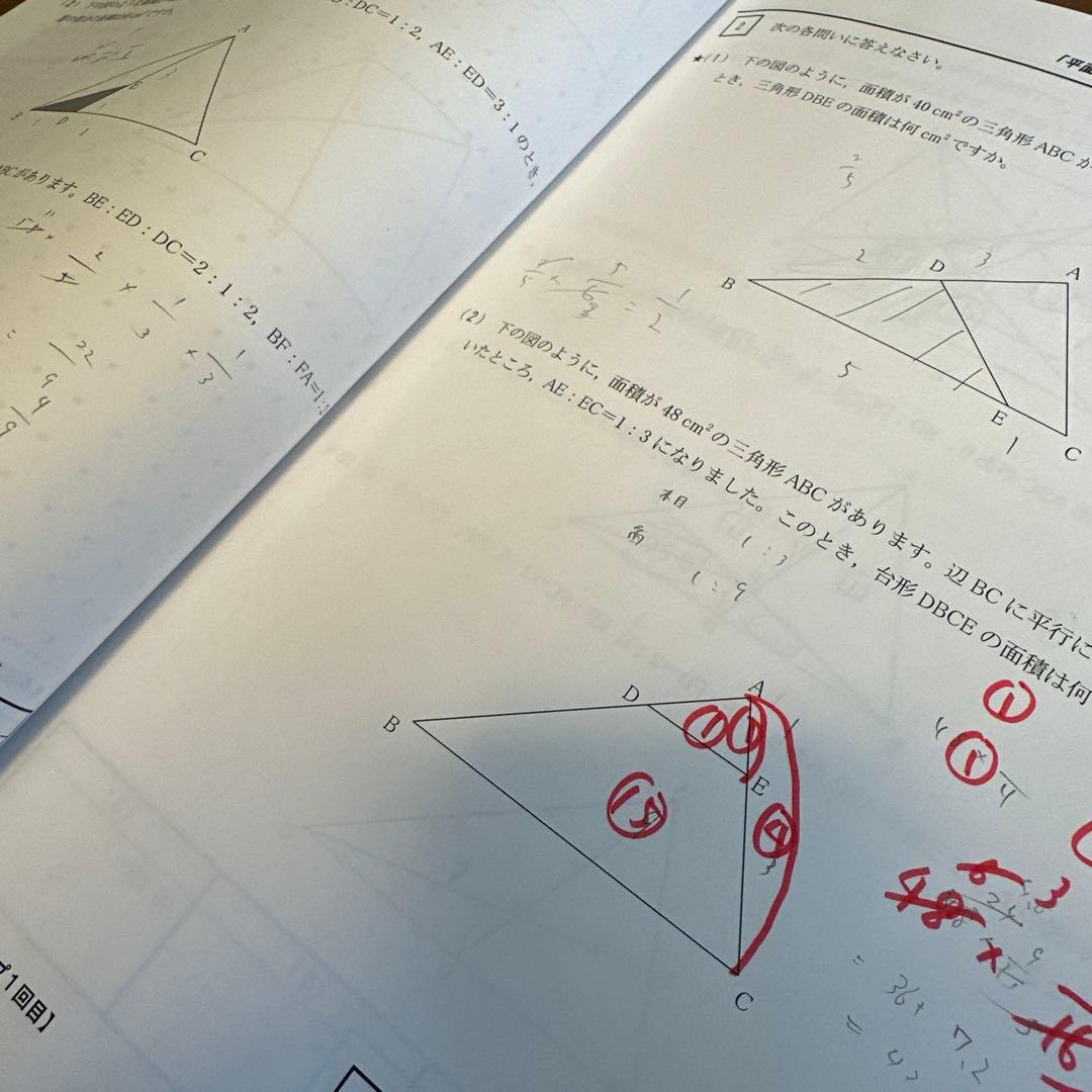 NN早実【前期】【夏期集中特訓】2024年度