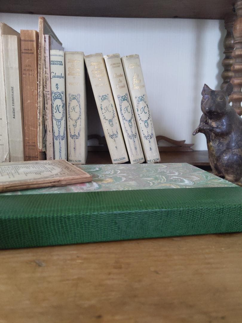 洋書、フランス、ナタン社植物図鑑