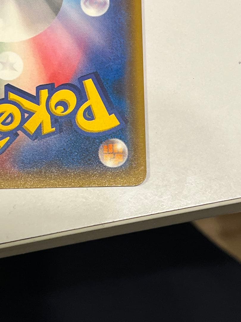 ポンチョを着たイーブイ サンダース 目立つ傷などなし