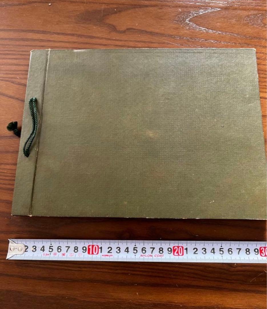 念記　大那支　戦争の記録　支那事変