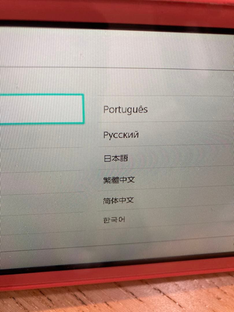 Nintendo Switch Lite 充電器　ジャンク品