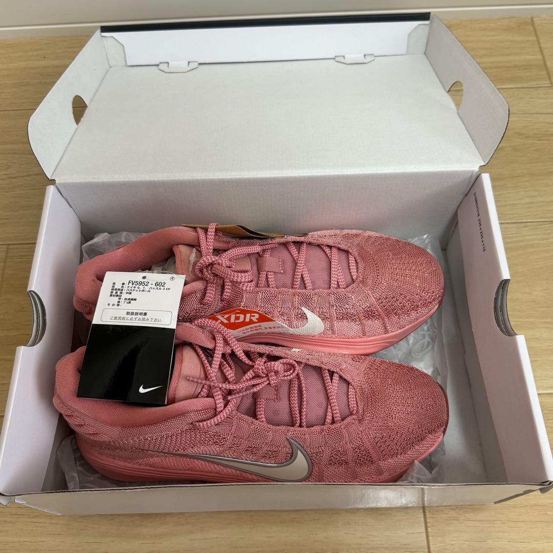 NIKEバスケットボールシューズ G.T. HUSTLE 3 EP 10.5