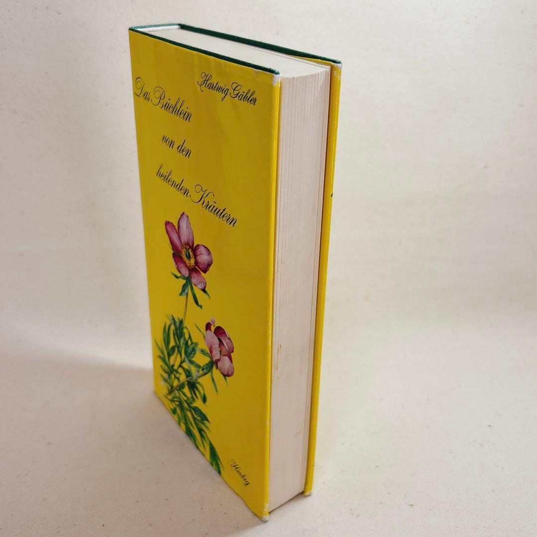 美しい植物画 ドイツ 洋書 図鑑 1963 Elsa Flesko Blumen