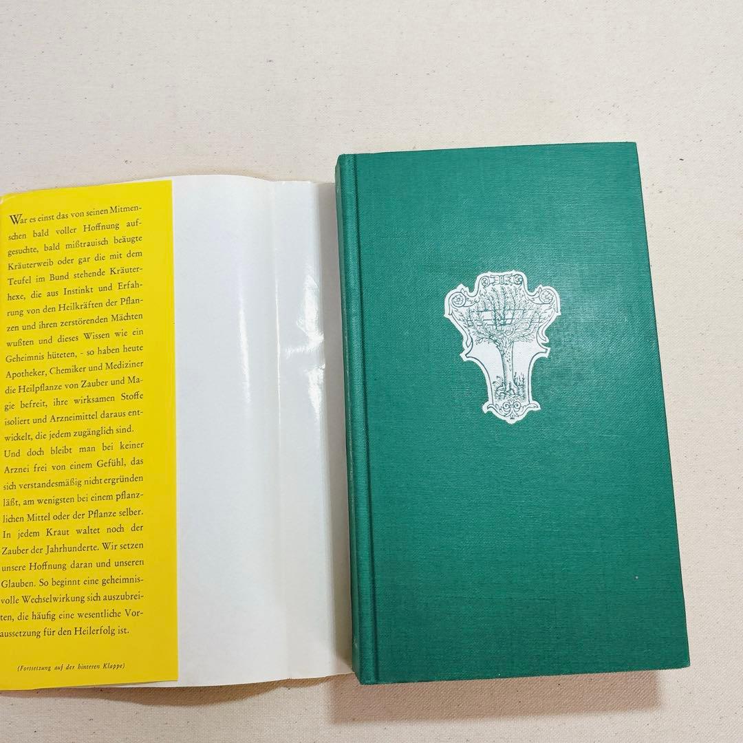 美しい植物画 ドイツ 洋書 図鑑 1963 Elsa Flesko Blumen