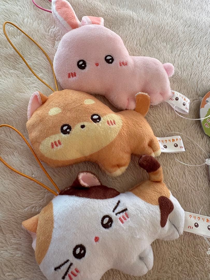 クリクリおメメの♪大切な家族 マスコット 3個セット