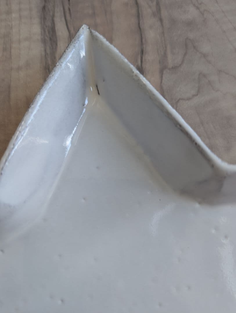 アスティエ・ド・ヴィラット　エトワール　ディナープレート②