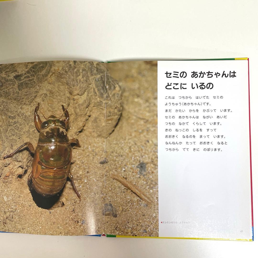 【美品】家庭保育園　なぜなにブック　全22巻セット