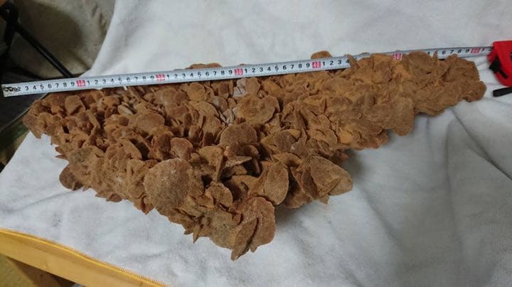 サンドローズ(デザートローズ)