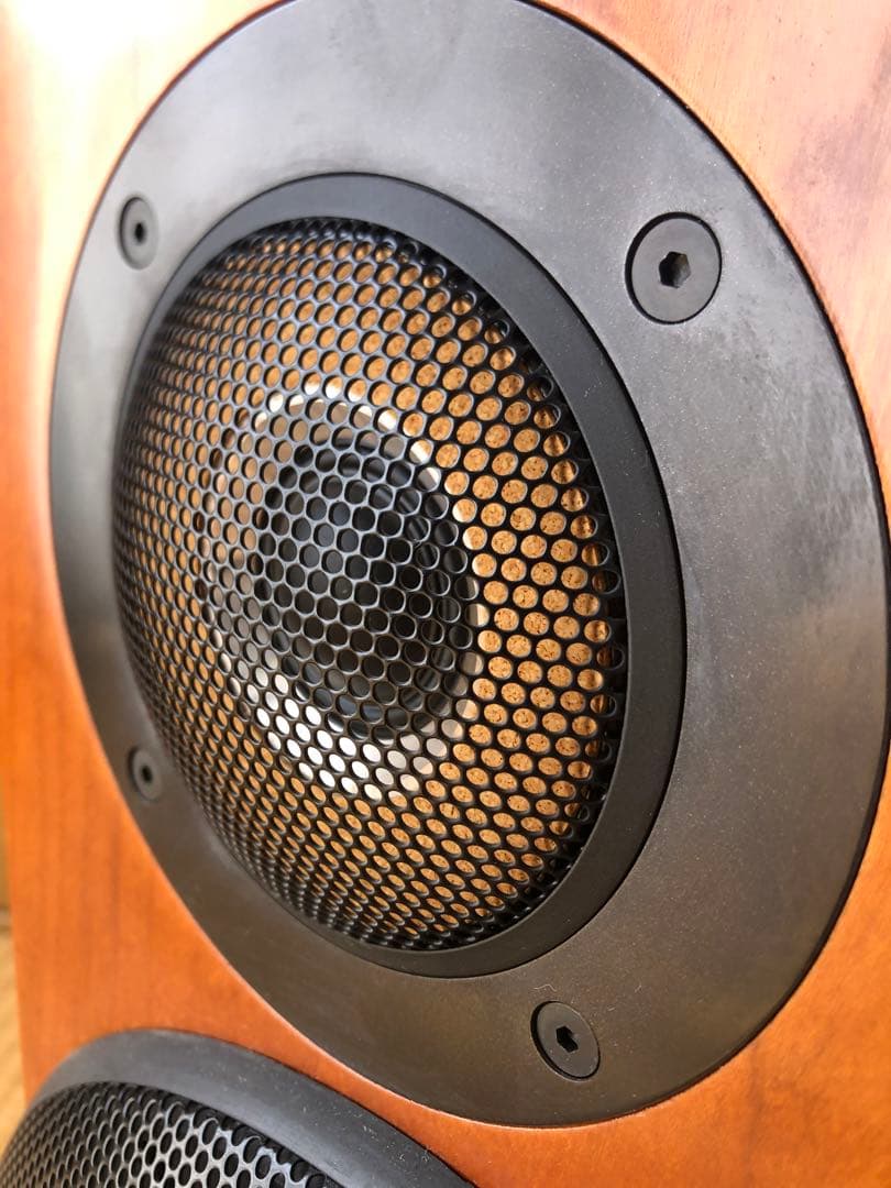 Victor ビクター SX-500DE スピーカー ドルチェ・エテルノ