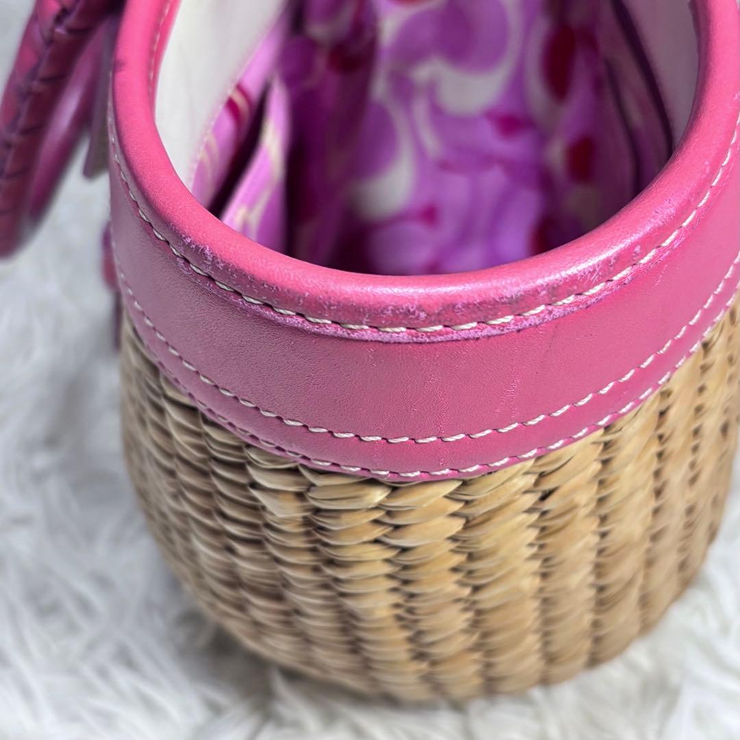 ✨美品✨ COACH カゴバッグ バタフライストロー 肩掛け 可愛い