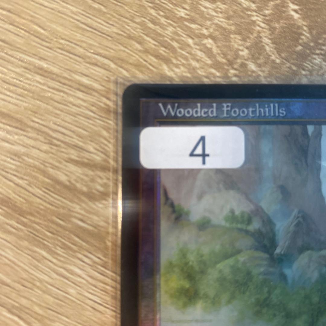 【Foil】《樹木茂る山麓/Wooded Foothills》[ONS]英語版